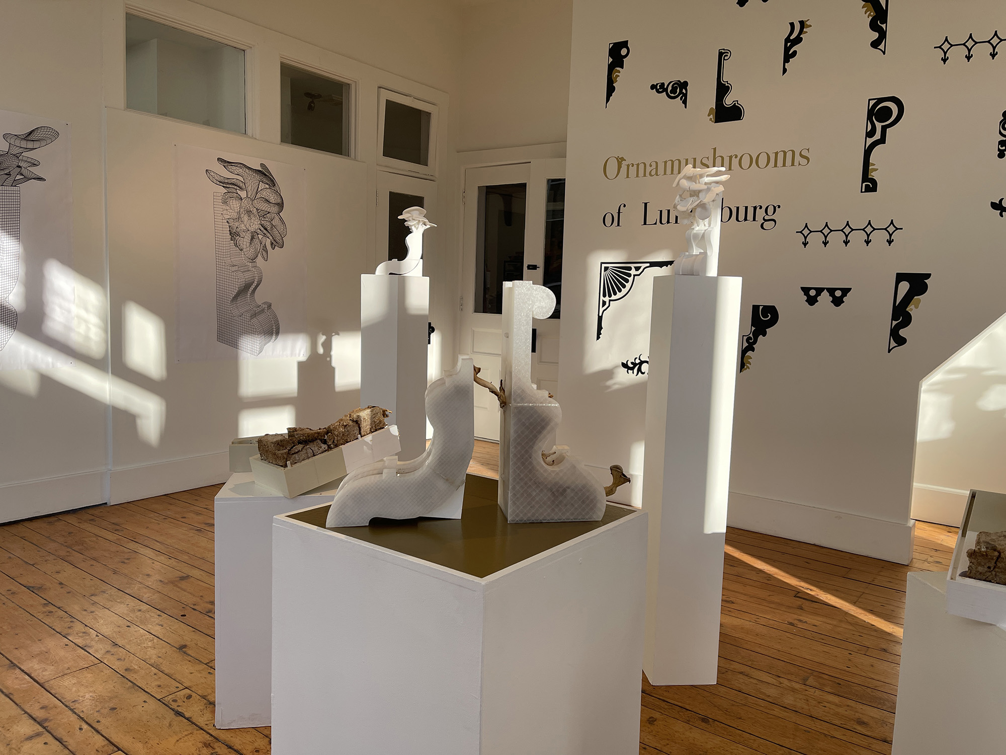 Wide installation view of Ornamushrooms of Lunenburg at Lunenburg School of the Arts.