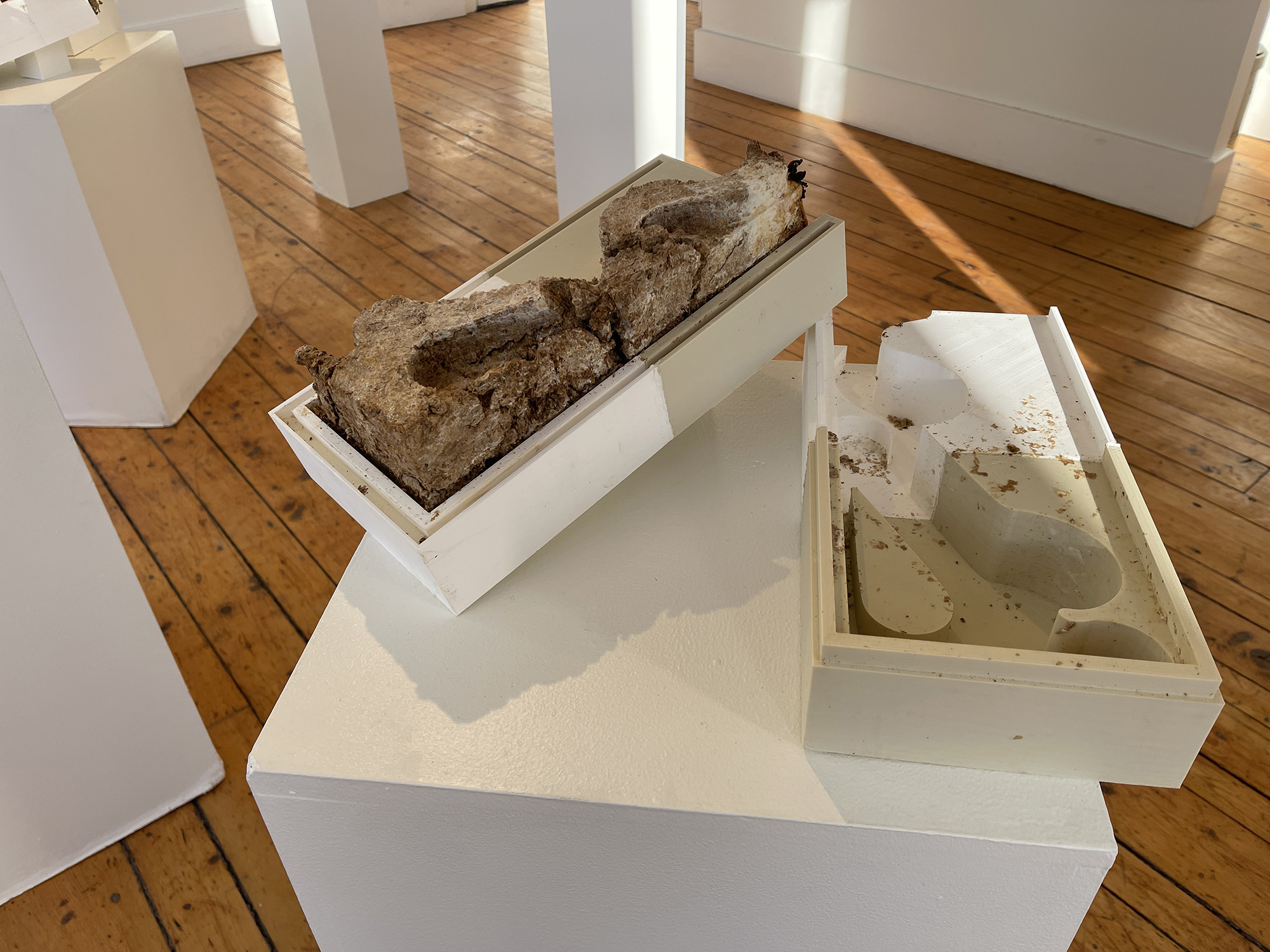 A mycelium Ornamushroom sculpture being released from its 3D-printed mold.